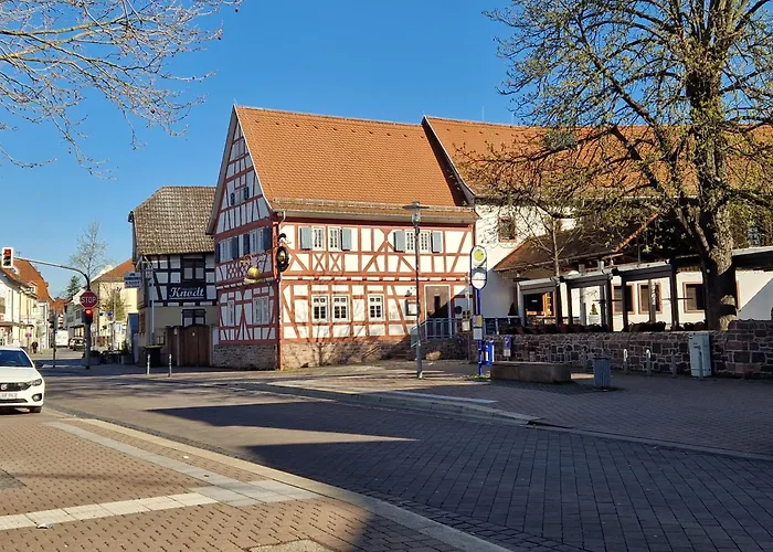 Comfortable And Ideal For Frankfurt And Surrounding Area